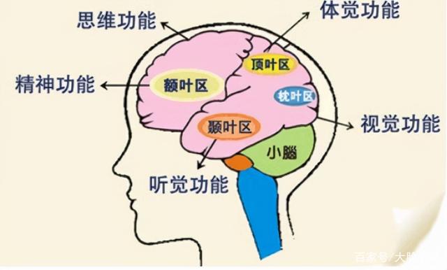 梦见去世的亲人出现_梦见去世亲人复活又去世_梦见亲人去世大哭