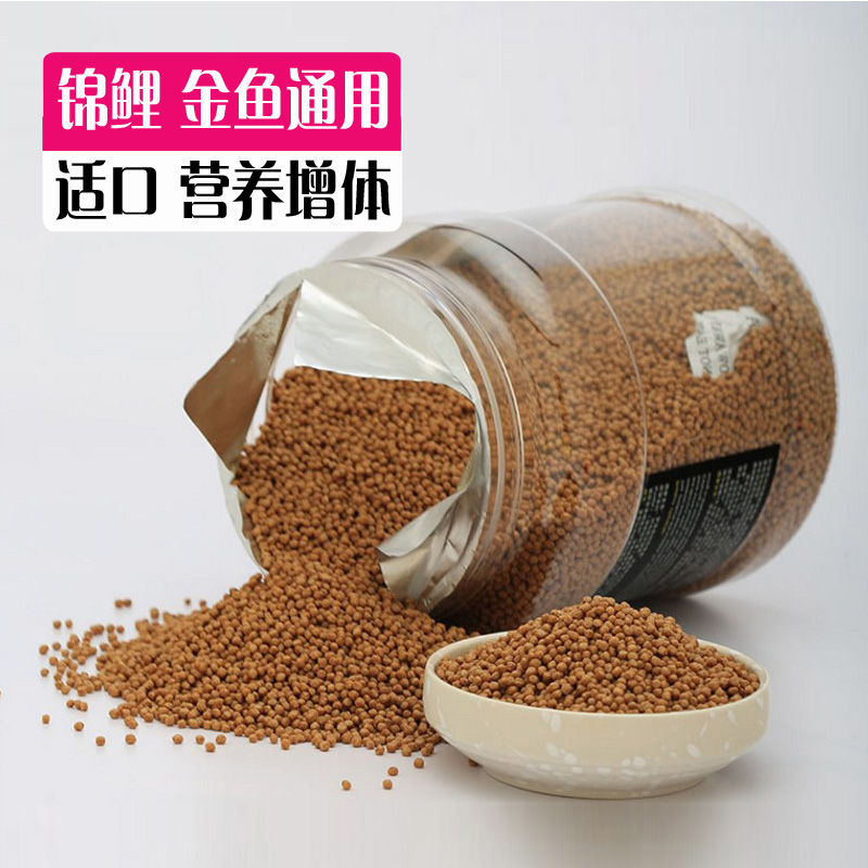 梦见鱼生了很多小鱼_梦见很多蛇吃很多鱼_女梦见鱼生了很多小鱼