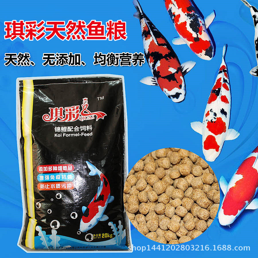 梦见鱼生了很多小鱼_梦见很多蛇吃很多鱼_女梦见鱼生了很多小鱼