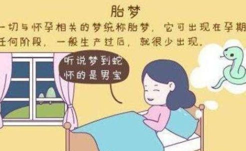 没怀孕梦见胎动很激烈_女人梦见自己怀孕胎动_备孕女人梦见蛇咬自己要怀孕吗