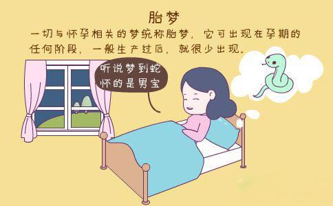 怀老大时总梦见蟒蛇，男宝，老二梦见吃鱼，女宝