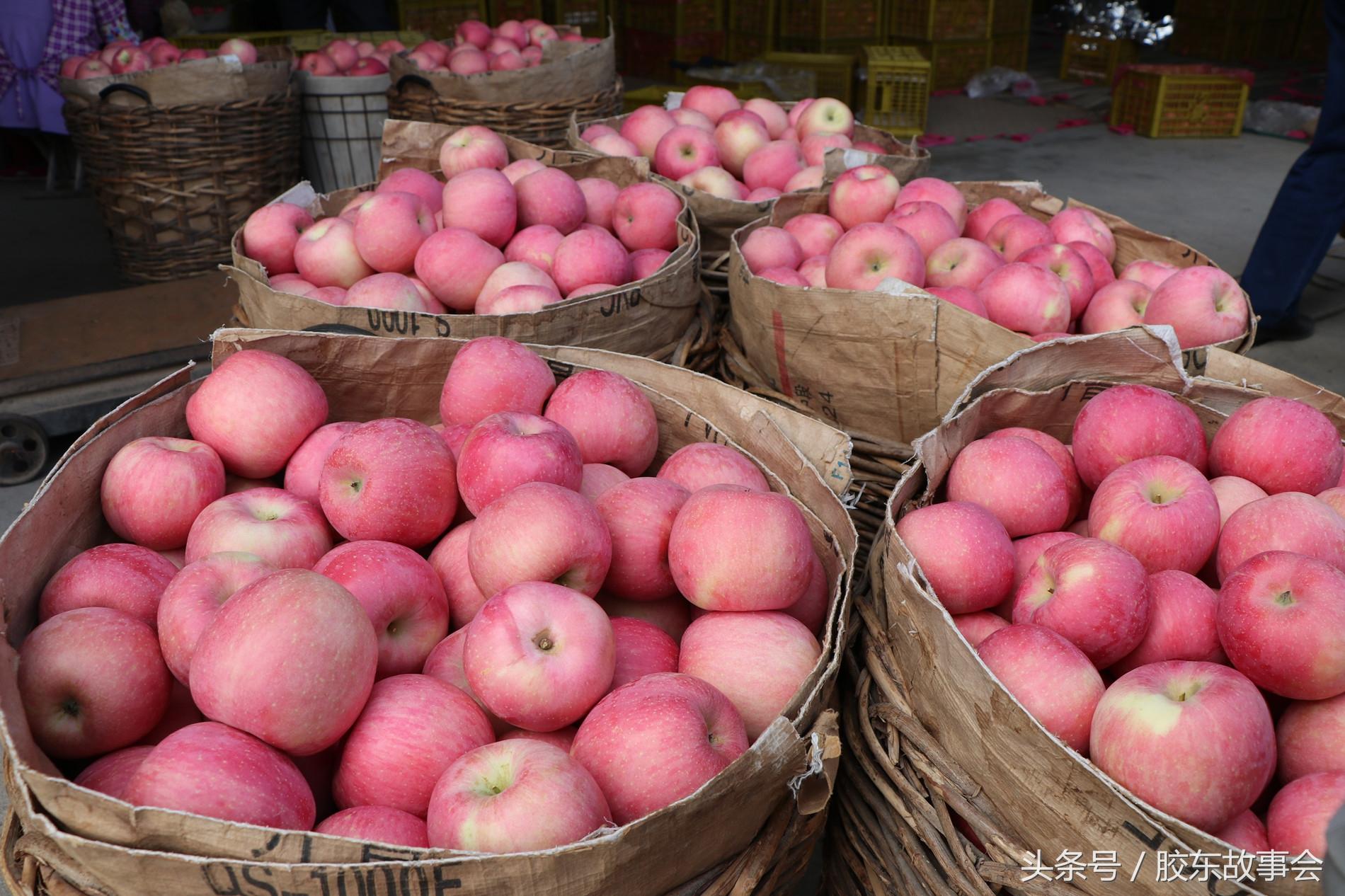 梦见买苹果是什么征兆_周公解梦梦见买苹果_梦见买苹果