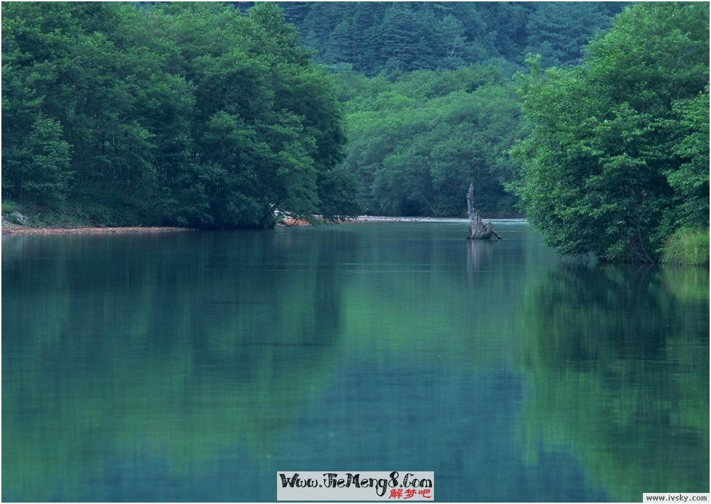 梦见快发大水了_水菜丽100发精子饮_周公解梦梦见自梦见自来水跑水