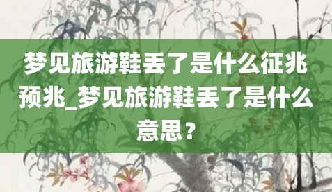 梦见旅游鞋丢了是什么征兆预兆_梦见旅游鞋丢了是什么意思？