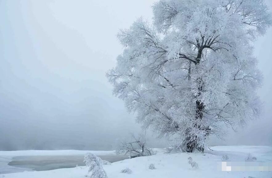 梦见刮风下大雪好吗_梦见走冰路突然下大雪_梦见下大雪