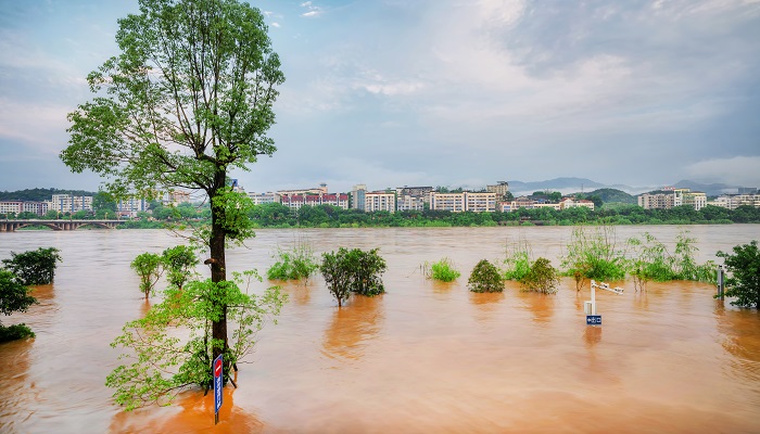 梦见被洪水困住是什么意思