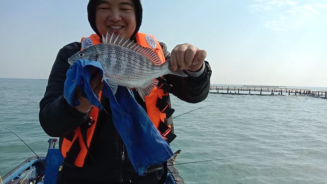 深圳海边钓鱼_梦见海边钓鱼_海边钓鱼