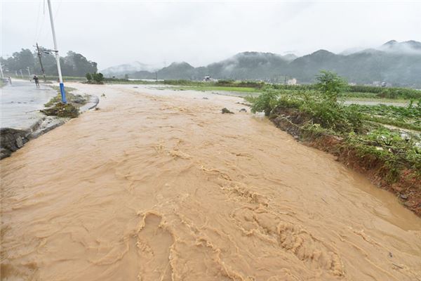 梦见下雨房子漏雨_梦见下雨原版_下雨吉他谱原版