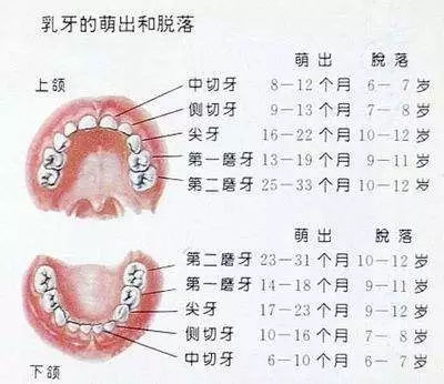 梦见掉牙齿是什么征兆_梦见牙齿掉光又长出新牙齿_梦见自己牙齿掉了