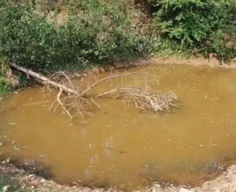 梦见下雨发洪水_女人做梦梦见发洪水_已婚女人梦见发大洪水