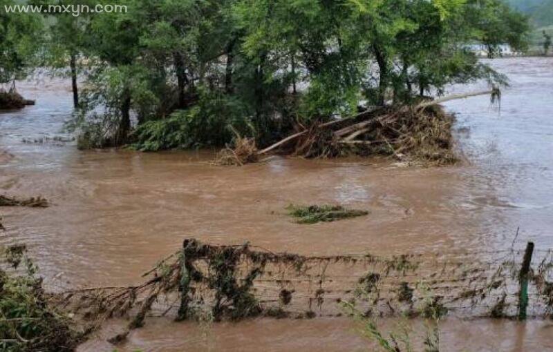 梦见下雨涨洪水是什么意思_梦见房子周围涨洪水好不好_梦见涨洪水