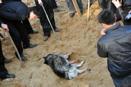 梦见朋友的小孩死了又救活了_梦见自己的朋友死了_梦见朋友死了又活过来了