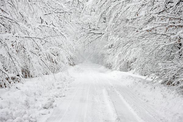 梦见突然下大雪是什么意思_梦见下大雪_梦见坐飞机头 下大雪