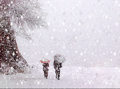 做梦下大雪是什么意思雪下的好厚_做梦梦见热天下大雪_做梦梦见下大雪