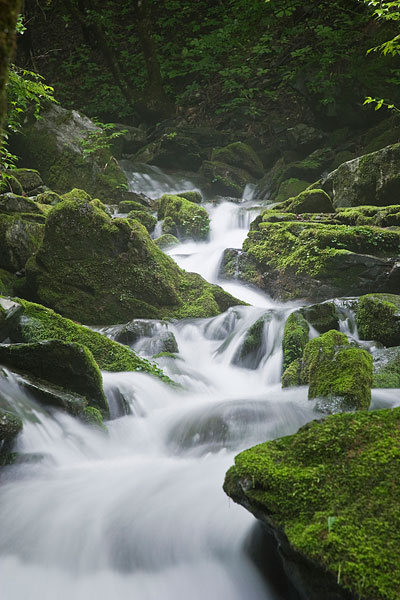 梦见流动的河水_河水流动我的心_梦见河水变红