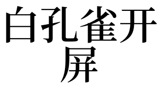 白孔雀开屏