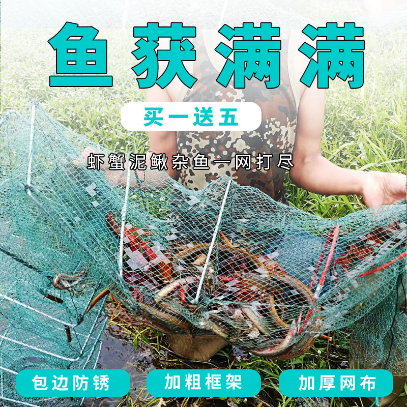 梦见抓龙虾和鱼 梦见抓了好多鱼和龙虾