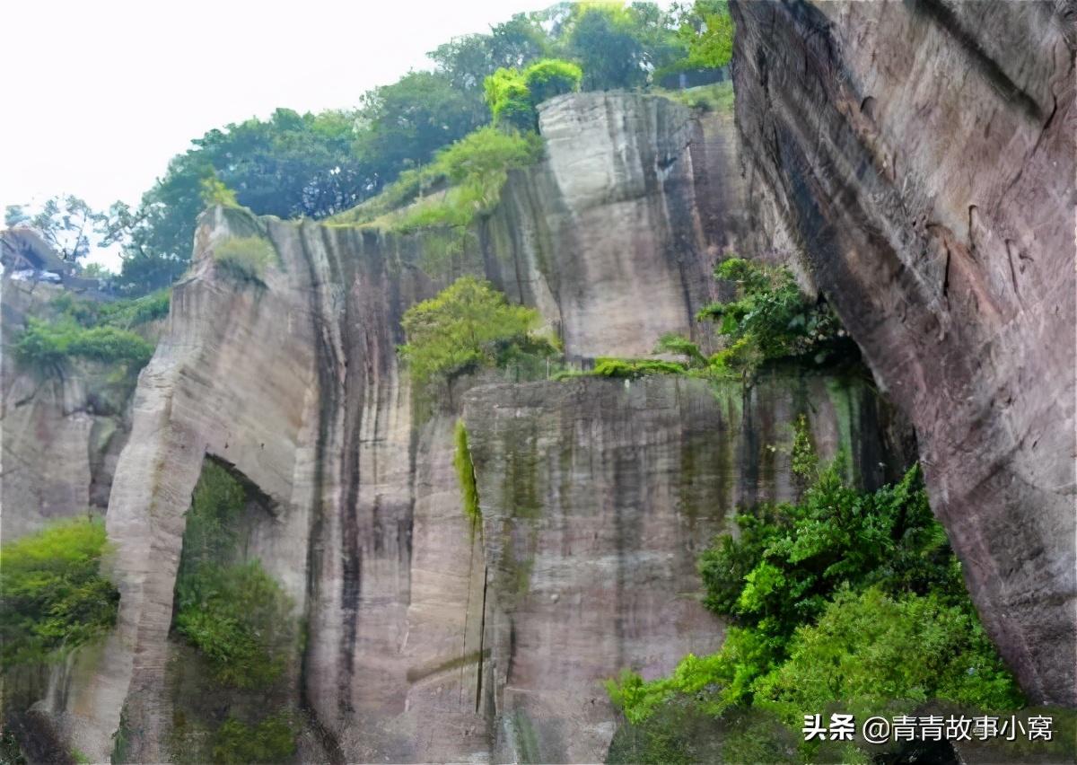 梦见采到蘑菇_我梦见采蘑菇_梦见采蘑菇