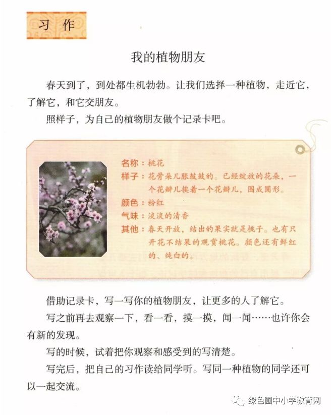 花朵盛开季节_梦见粉色花朵盛开_笑容盛开如花朵