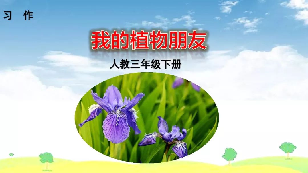 花朵盛开季节_梦见粉色花朵盛开_笑容盛开如花朵