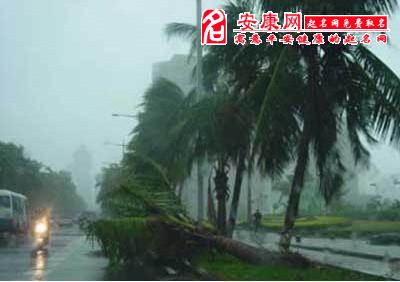 梦见下雨打伞_梦见下雨_梦见下雨