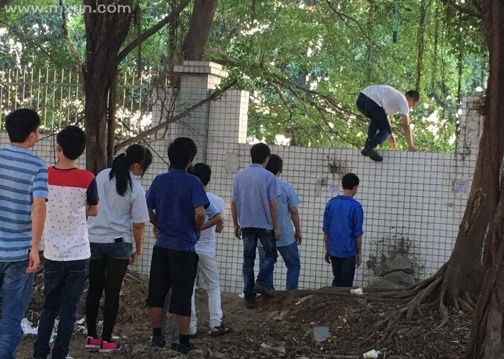 梦见梦见爬墙_梦见爬墙是什么意思_梦见爬墙爬不上去预示着什么