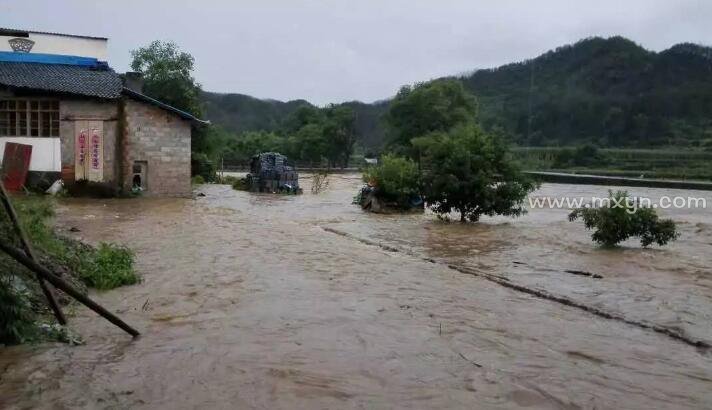 梦见狂风暴雨家里涨水_梦见涨水_梦见涨水冲上来很多螃蟹乌龟