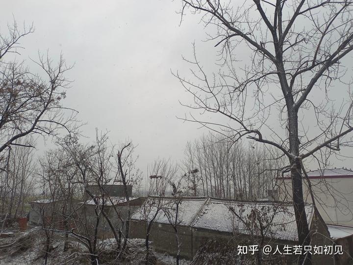 梦见地上有雪_梦见地上有屎是什么意思_雪梦见地上有很多虫子