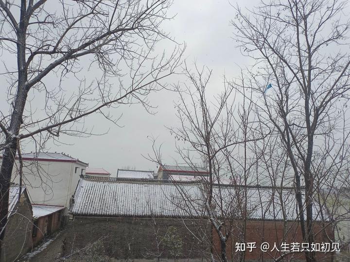 梦见地上有屎是什么意思_雪梦见地上有很多虫子_梦见地上有雪