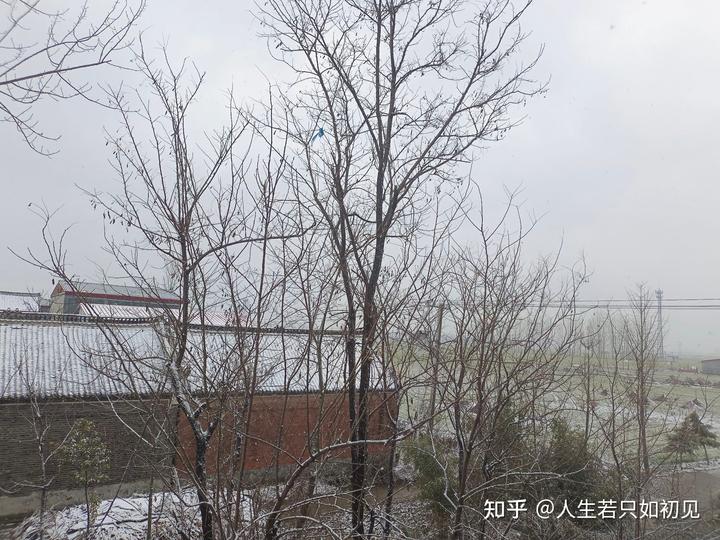 梦见地上有屎是什么意思_雪梦见地上有很多虫子_梦见地上有雪