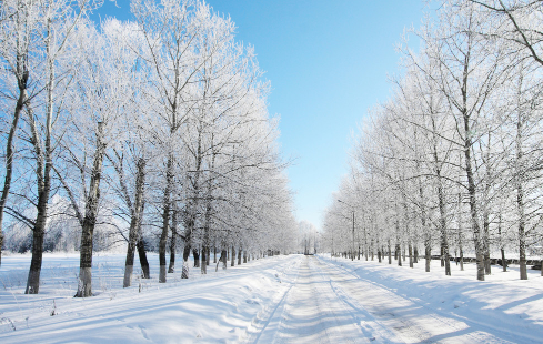 周公解梦：梦见雪