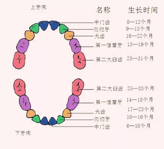 梦见牙齿掉完_牙齿掉完了做梦_掉牙了梦见