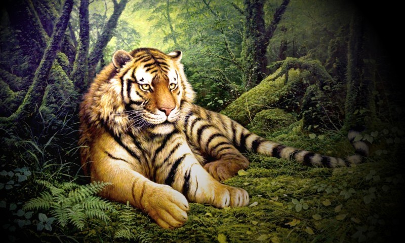女人做梦梦见老虎_女人梦见把老虎打死了_女人梦见老虎的好处