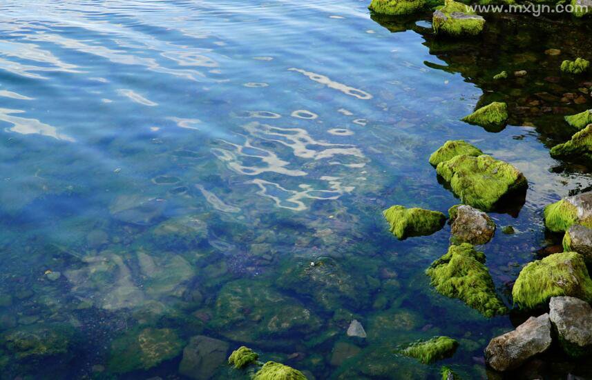 梦到河水好清_梦见河水很清_梦见河水可清澈