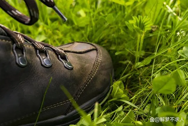 爬山梦见蛇是什么预兆_梦见自己爬山_爬山梦见山塌了