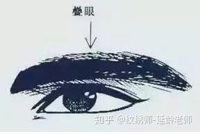 做梦眉毛_梦见自己眉毛多_梦到眉毛见血预示着什么