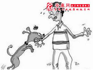 梦见被狗咬了然后把狗打死了的含义