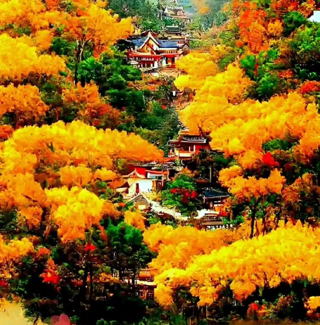 故事:李白听黑猫的话,放了金钱蛇,得到了福报