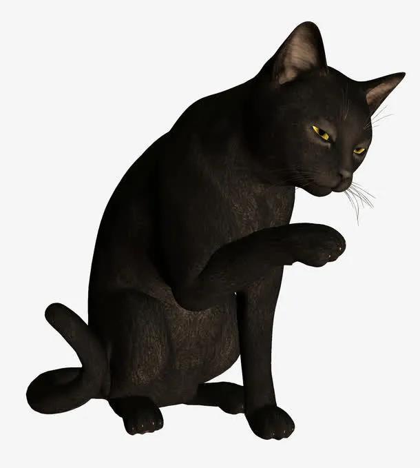 故事:李白听黑猫的话,放了金钱蛇,得到了福报 梦到黑猫_梦到黑猫攻击自己是什么意思_梦到黑猫是什么意思