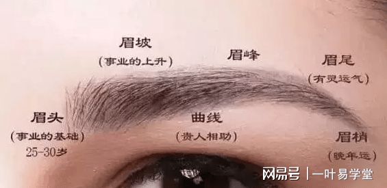 梦见眉毛是什么意思 梦见画眉毛是什么意思_梦见眉毛流血什么意思_梦见自己眉毛多