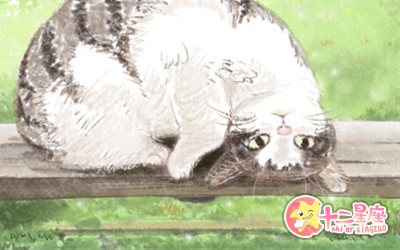 梦见猫一直跟着我怎么回事?