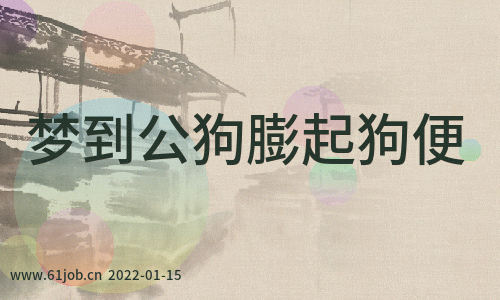 创业的人梦到公狗膨起狗便