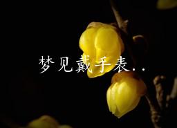 更多梦见戴手表(周公解梦)推荐文章 梦见戴手表