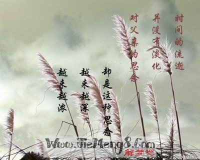 梦见自己的亲人去世 梦见死了的亲人活了_梦见跟死人的亲人说话_梦见自己的亲人死了