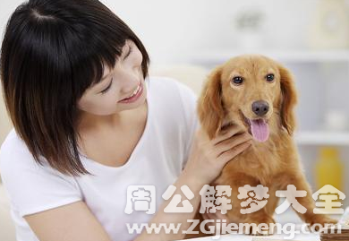 孕妇梦见狗咬手