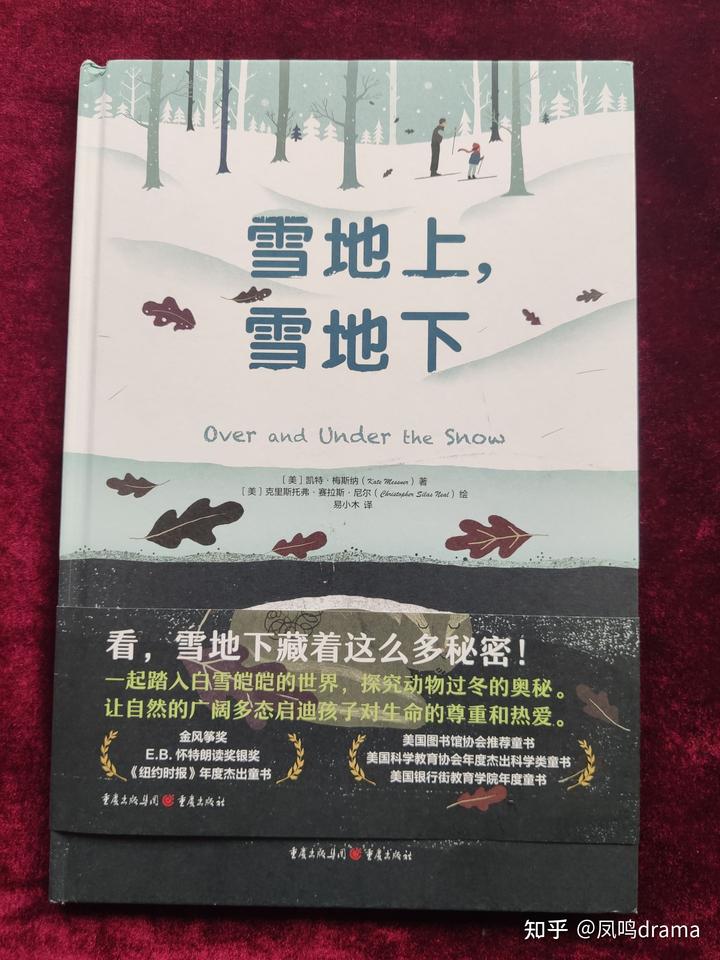 《雪地上,雪地下》:探寻神秘的雪下王国