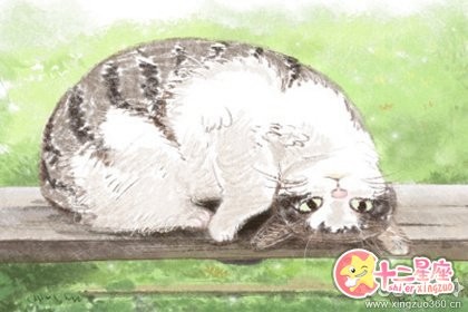 梦见死人从棺材里走出来