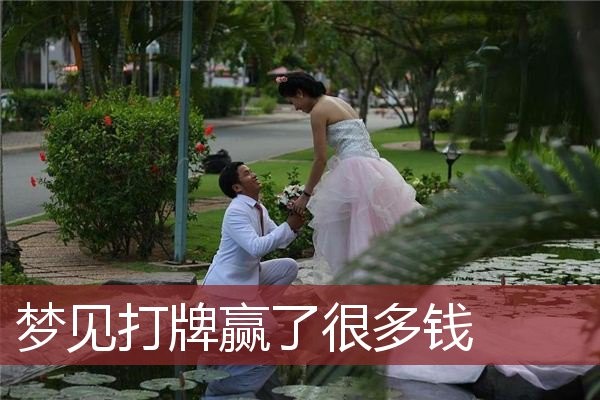 梦见打牌赢了很多钱 打牌赢钱