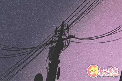 梦见猫受伤是什么意思? 梦见猫