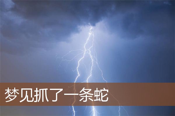 梦见被蛇追着但是没咬着意味着什么?
